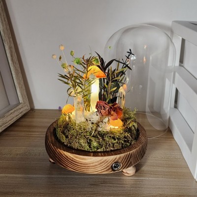 Handmade Orange Crystal Night Light with June Rose Birth Flower Christmas Gift