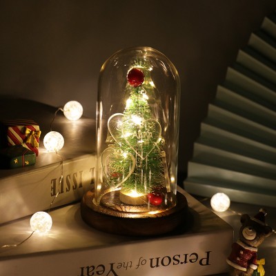 Custom Name Christmas Tree Lights